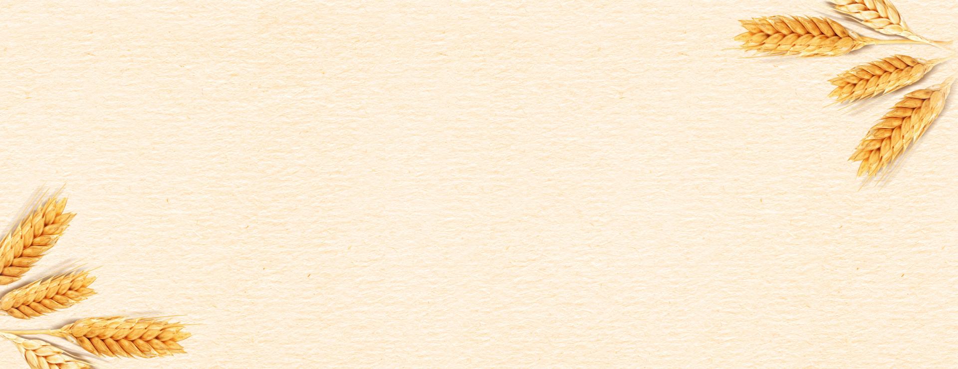 Main Banner 3